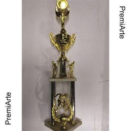 Imagen de producto Trofeo Art. TP 431