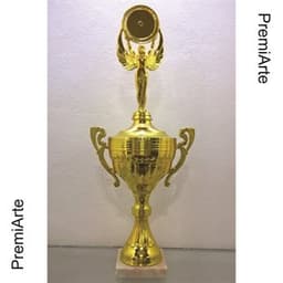 Imagen de producto Trofeo Copa Art. TP 449