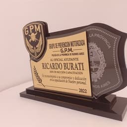 Imagen de producto Premio acrilico escudos calados y grabados. PME 1420