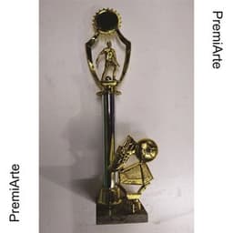 Imagen de producto Trofeo Art. TP 435