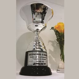 Imagen de producto Copa Metálica Mod. 170. /1- /2 -/3 -/4 -/5 -/6 -/7 - /8. Art. CM 170