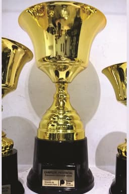 Imagen de producto Copa Metálica Mod. 170. /1- /2 -/3 -/4 -/5 -/6 -/7 - /8. Art. CM 170