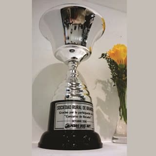 Imagen de categoría Copas