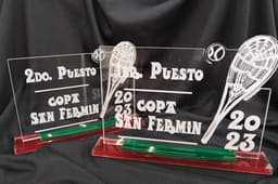 Imagen de producto Premio acrilico 1421