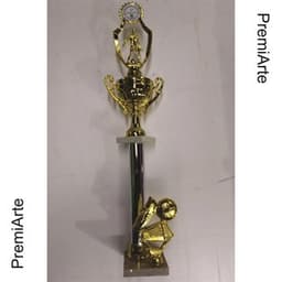 Imagen de producto Trofeo Art. TP 434