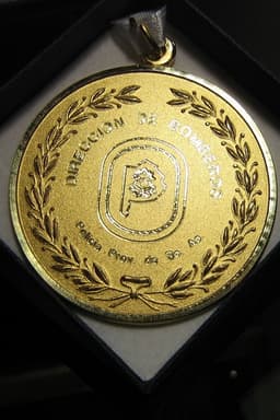 Imagen de producto Medalla de bronce c/Laureles 55 mm. Art. MBL 55