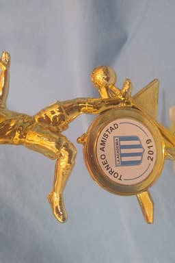 Imagen de producto Trofeo Art. TP 439