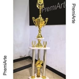 Imagen de producto Trofeo Art. TP 441