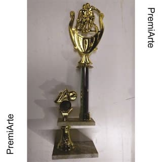 Imagen de producto Trofeo Art. TP 429