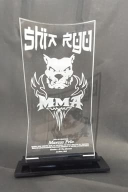 Imagen de producto Premio Acrílico 2430. Art. PAE 2430