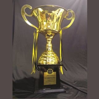 Imagen de producto Copa Metálica Mod. 070 con Asa /6 -/7- /8.Art.  CM 070