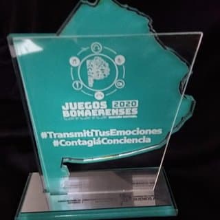 Imagen de producto Premio Acrilico 395. Art. PAE 395