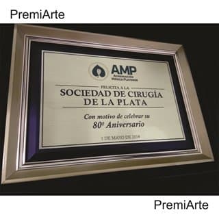 Imagen de producto Plaqueta Enmarcada Bronce/Acero 15 X 20 Fondo Madera sin vidrio . Art. PESV 1520